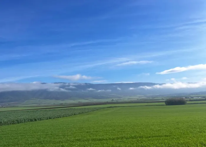 La Dimora Del Grano * Rignano Garganico